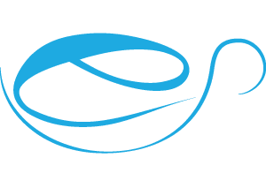 e-LEDGER Pénzügyi és Humán Controlling Tanácsadó Kft.